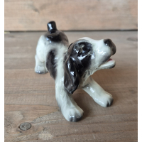 Cocker Spaniël Goebel